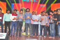 Rakshasudu Audio Launch Photos